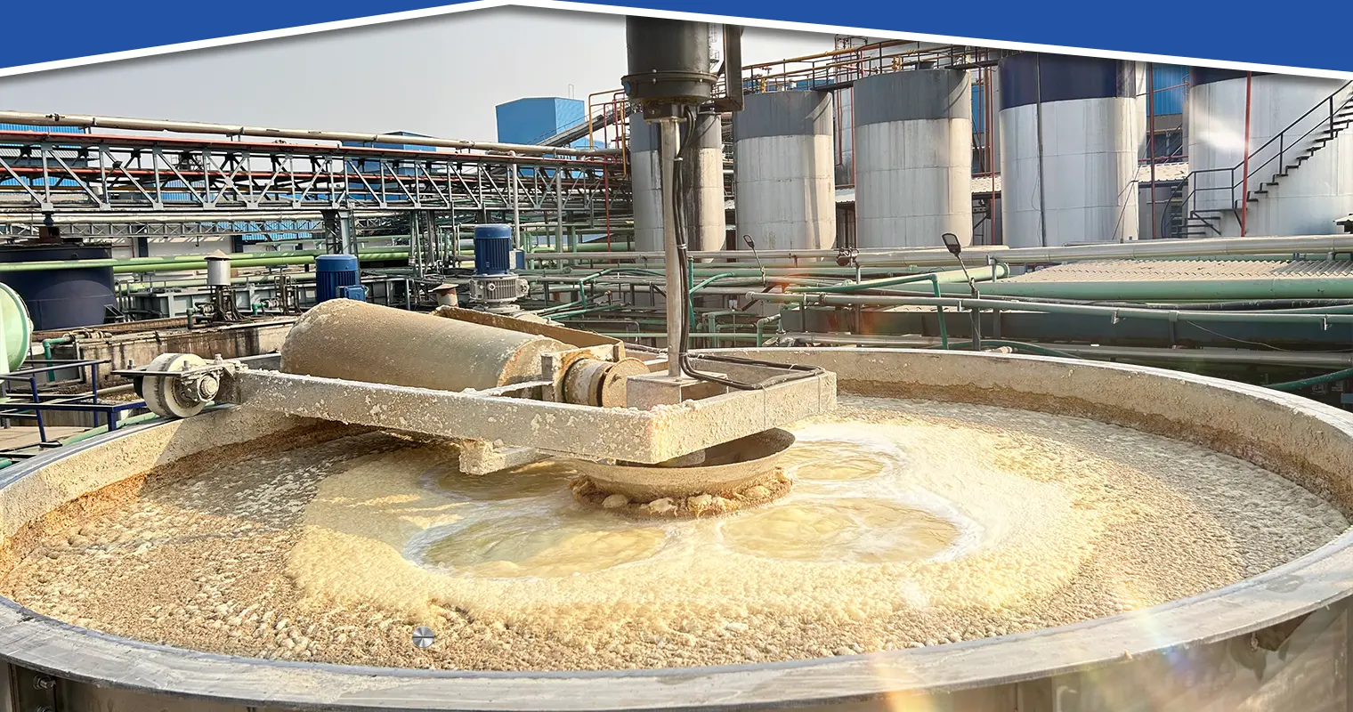 Dissolved Air Flotation System